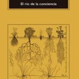 Rio de la consciencia
